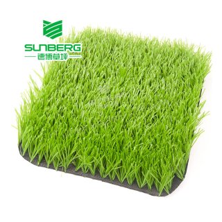 Football Grass