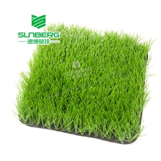 Football Grass