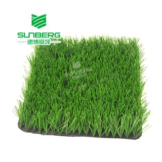 Soccer Grass