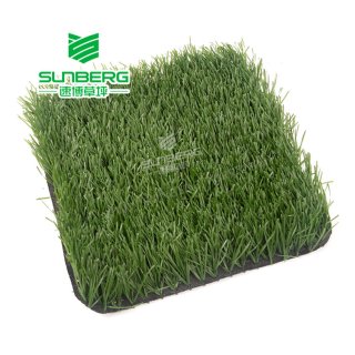 Football Artificial Turf