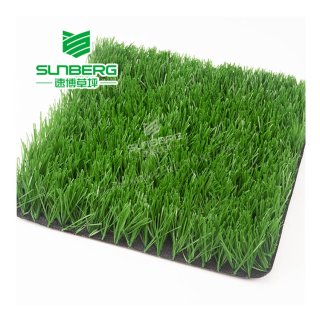 Sports Grass