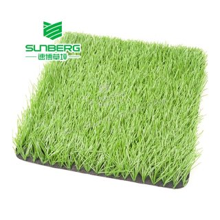 Sports Grass