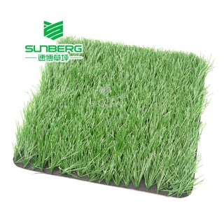 Soccer Grass
