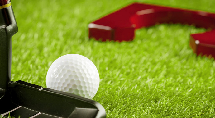 Multi-use Artificial Grass